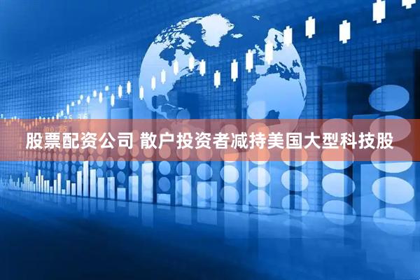 股票配资公司 散户投资者减持美国大型科技股