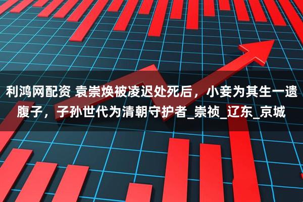 利鸿网配资 袁崇焕被凌迟处死后，小妾为其生一遗腹子，子孙世代为清朝守护者_崇祯_辽东_京城