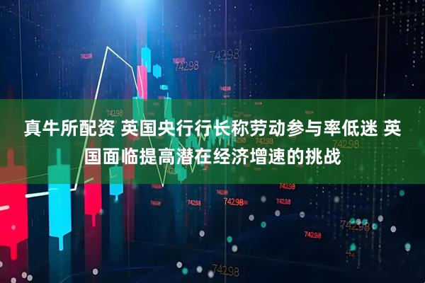 真牛所配资 英国央行行长称劳动参与率低迷 英国面临提高潜在经济增速的挑战