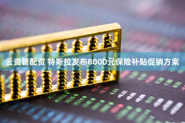 云资管配资 特斯拉发布8000元保险补贴促销方案